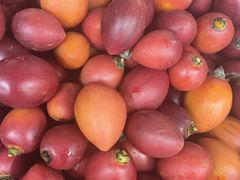 -滇铺子·云南特色菜·第九届野生菌美食节(东风东路c86店)