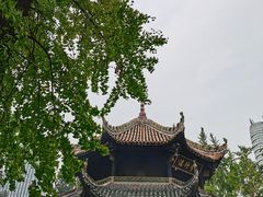 -青羊宫