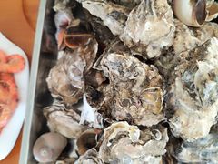 -龙口南山旅游景区