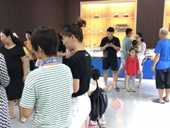 -贝壳王国博物馆