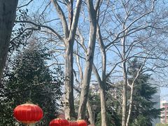 -菊花台公园