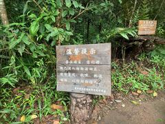 -普洱太阳河森林公园