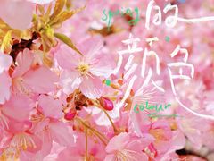-上海辰山植物园