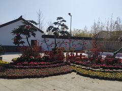 -苏州上方山国家森林公园