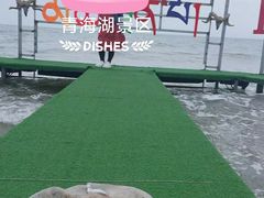 -青海湖国家重点风景名胜区