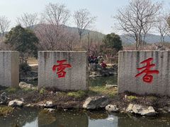 -香雪海