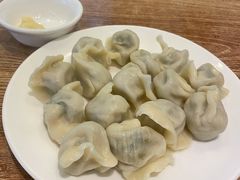 茴香鲜肉饺子-长城东北菜(新港西路店)
