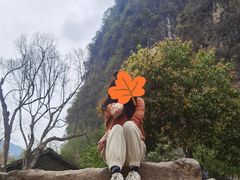 -村上春树