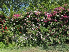 -太阳宫公园