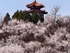 -白水寺森林公园
