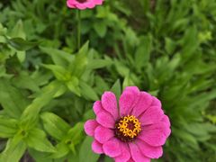 -池杉湖湿地公园