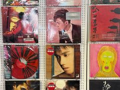 -树懒黑胶唱片店(中山路店)