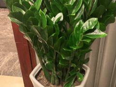 -梦都海鲜酒家(万达广场江桥店)