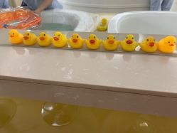 -祥馨月子会所(莞城店)