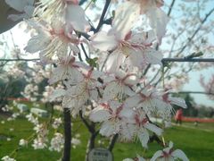 -公益图书馆(江南大学店)