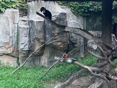 -上海野生动物园