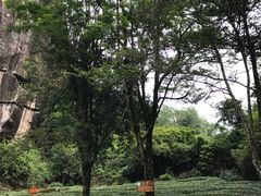 -武夷山风景名胜区-虎啸岩