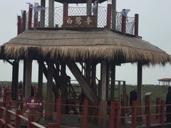 -北海金海湾红树林生态旅游区