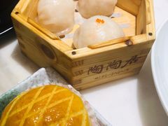 -陶陶居酒家(海岸城店)