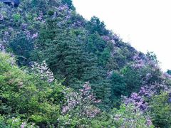 -井冈山风景名胜区