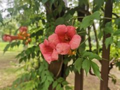 -狼山风景名胜区