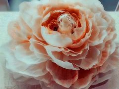 -河北盛世之星奔驰4S店(赵佗公园店)