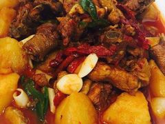 -撒拉花儿·新疆菜·清真(太阳宫店)