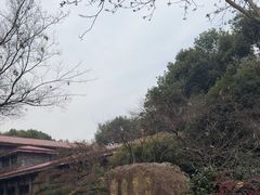 -中国茶叶博物馆(双峰馆区)