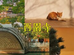 -西园寺