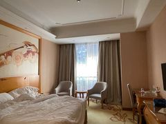 -维也纳酒店(南京奥体中心店)