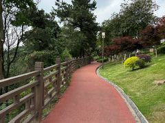 -铁山坪森林公园