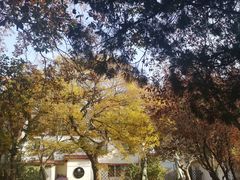 -八大关景区