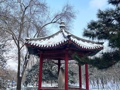 -元大都城垣遗址公园