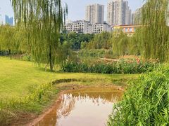 -沐仙湖湿地公园