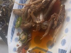 -八仔大富楼·河鲜(西江店)