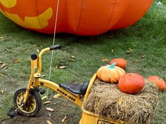 -HERRE·FARM 赫尔露营农场·团建聚会包场