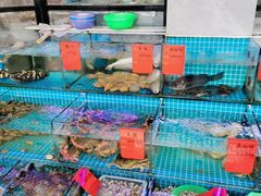 水产区-洲晓鲜·舟山海鲜大排档(朱家尖风景区店)