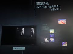 -同济大学四平路校区深海探索馆