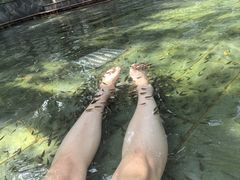 -唐风温泉