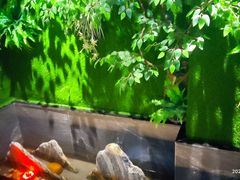 -大唐盲人按摩中心(怀宁路新粮仓店)