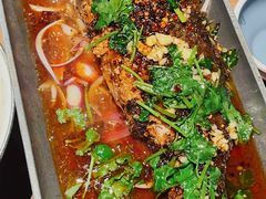 -树厨贵州菜(花果园购物中心店)