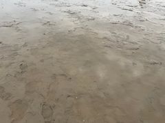 -小洋口旅游度假区