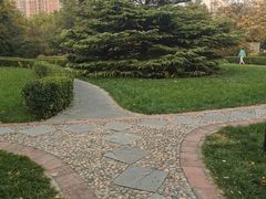 -方庄体育公园