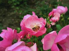 -白塘生态植物园