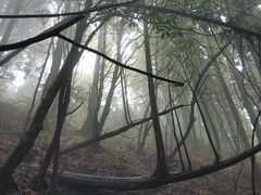 -井冈山风景名胜区