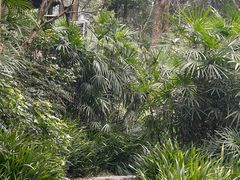 -青城道汤池