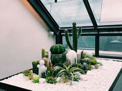 大堂-大树餐厅(红旗街万达店)