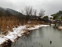-西湖风景区-江洋畈生态公园