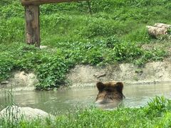 -上海野生动物园