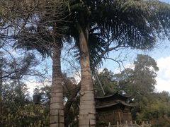 -昆明市金殿名胜区